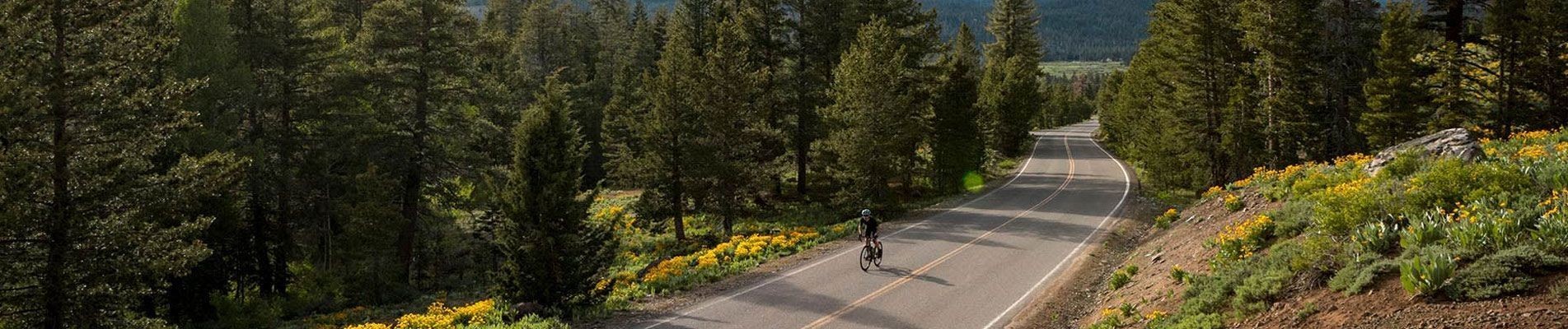 Vélos de Courses | Contend | Vélo Béziers | Giant Store